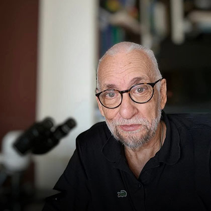 Forn Pales Paulo Hilário Nascimento Saldiva